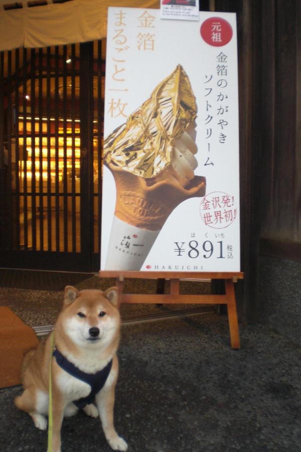 Kanazawa Share House Gaooo Exteriör bild