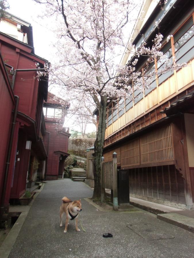 Kanazawa Share House Gaooo Exteriör bild